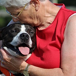 Thumbnail photo of Bosco-Adopted! #3