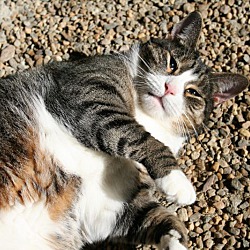 Thumbnail photo of Wavy Gravy #4