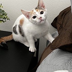 Photo of Rocky
