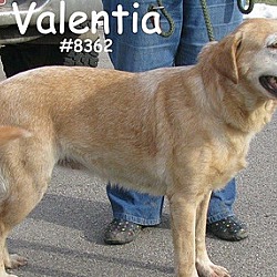 Thumbnail photo of Valentina #4