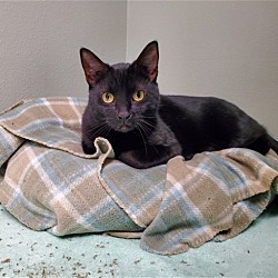 Photo of Felix