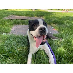 Photo of BESSIE