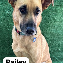Thumbnail photo of Railey #1