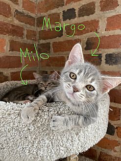 Margo