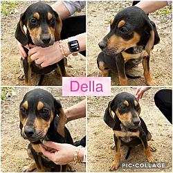 Photo of Della