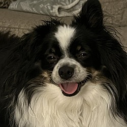 Photo of Winston