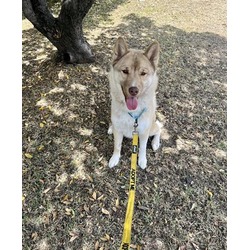 Photo of FOXY
