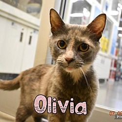 Photo of Olivia