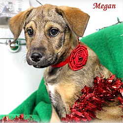 Thumbnail photo of Megan ~ meet me! #4