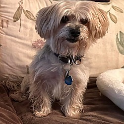 Photo of Ralph