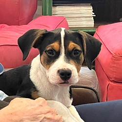 Photo of PATTON
