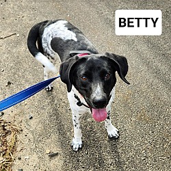 Thumbnail photo of Betty in RI #4