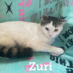 Thumbnail photo of Zuri #1