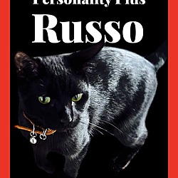 Thumbnail photo of Russo #1