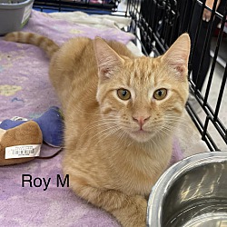 Thumbnail photo of Roy M #1