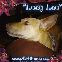 Photo of Lucy Lou