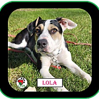 Photo of Lola