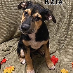 Photo of Kate