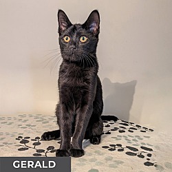 Thumbnail photo of Gerald #3