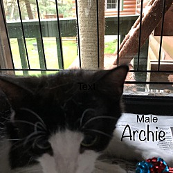 Thumbnail photo of Corey & Archie (Siblings) #3