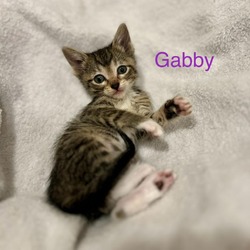 Thumbnail photo of Gabby H #1