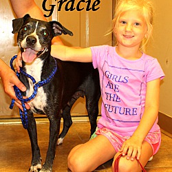 Thumbnail photo of Gracie ~ meet me! #1