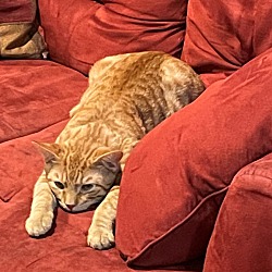 Photo of Meli
