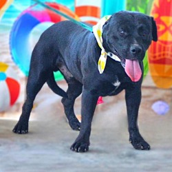 Photo of Lefty JuM