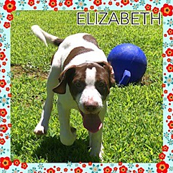 Thumbnail photo of Elizabeth #1