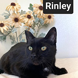 Photo of Rinley