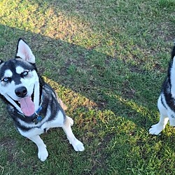 Photo of Alice/Skye