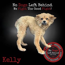 Thumbnail photo of Kelly 4207 #2