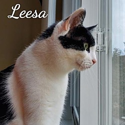 Thumbnail photo of Leesa #4