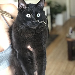 Photo of Binx