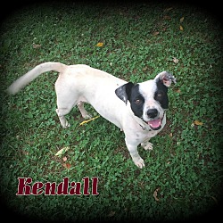 Thumbnail photo of Kendall #2