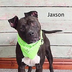 Photo of Jaxson