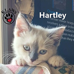 Thumbnail photo of Hartley #4