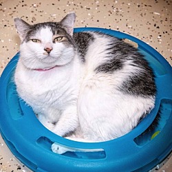 Photo of Luna