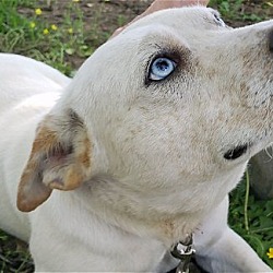 Photo of Sugar