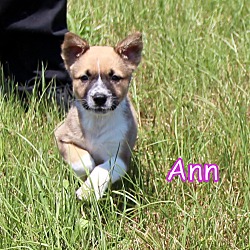 Thumbnail photo of Ann #2