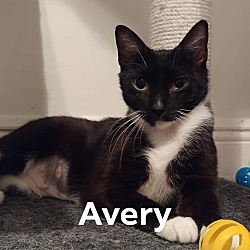 Photo of Avery