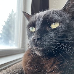 Photo of Jojo