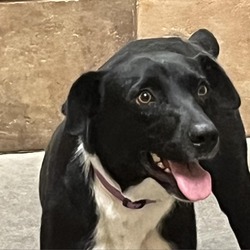 Photo of Mia