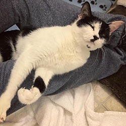 Photo of Wobbles