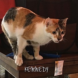 Thumbnail photo of KENNEDY #1