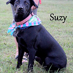 Thumbnail photo of Suzy ~ meet me~new pics~ #4