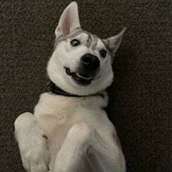 Photo of Ghost