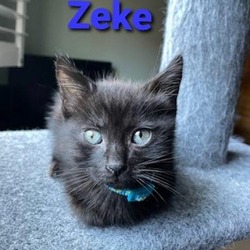 Photo of Zeke