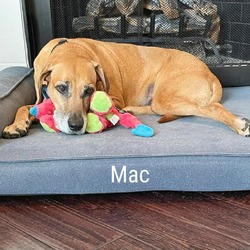 Thumbnail photo of Mac #1