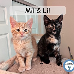 Photo of Mila & Lilith